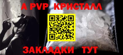 прущие грибы Гусиноозёрск