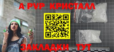 прущие грибы Гусиноозёрск