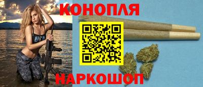 прущие грибы Гусиноозёрск
