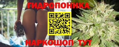 прущие грибы Гусиноозёрск