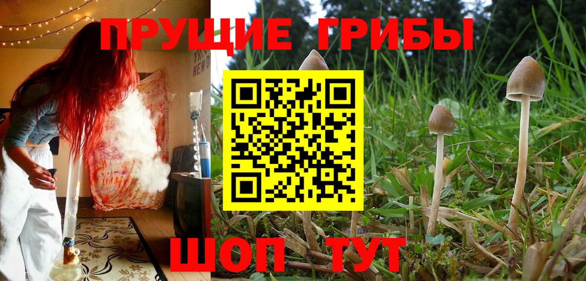 Галлюциногенные грибы MAGIC MUSHROOMS  Вход с VPN  Псилоцибиновые грибы Magic Shrooms  Биробиджан 